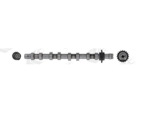 Camshaft, Image 2