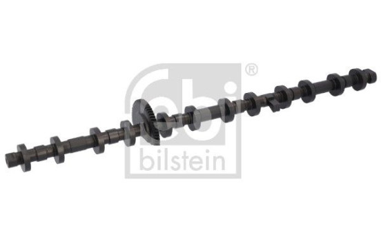 Eccentric shaft, camshaft adjustment febi Plus
