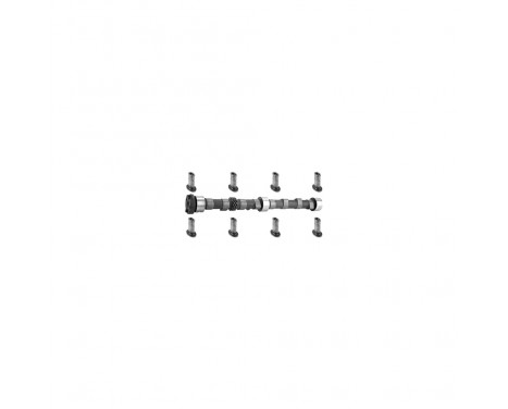 Camshaft Kit