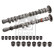 Camshaft Kit, Thumbnail 2 Camshaft Kit, Thumbnail 2