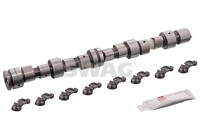 camshaft set