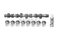 camshaft set