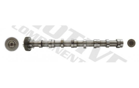 Camshaft