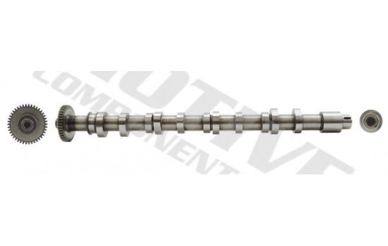 Camshaft