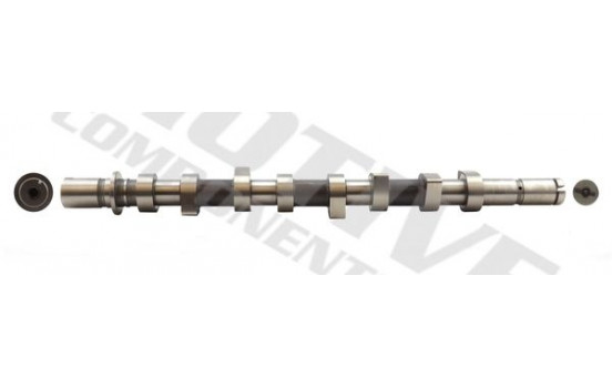 Camshaft