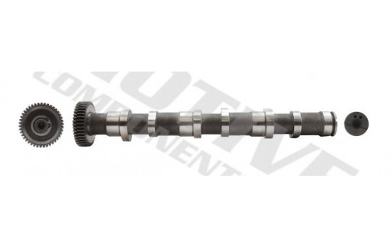 Camshaft