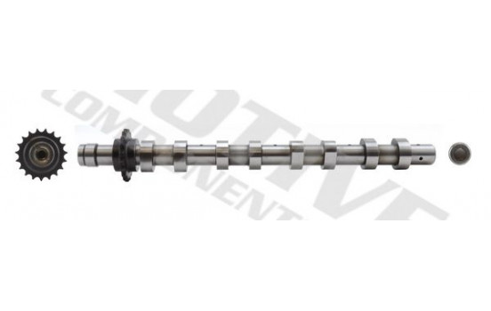 Camshaft