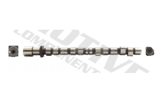 Camshaft