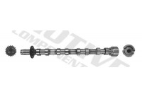 Camshaft