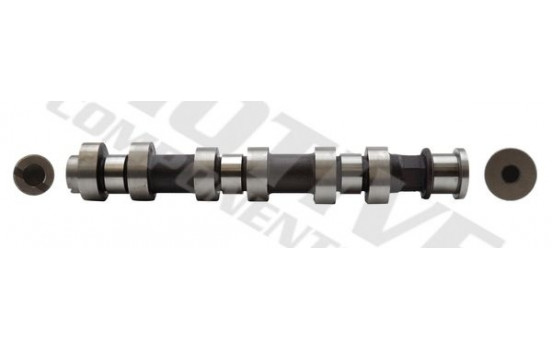 Camshaft