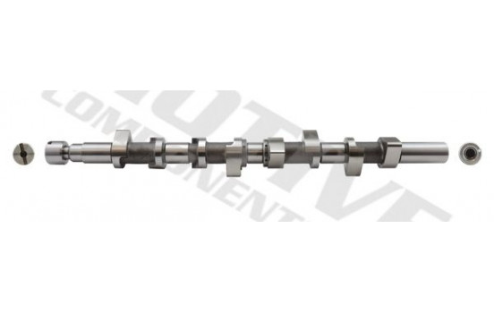 Camshaft