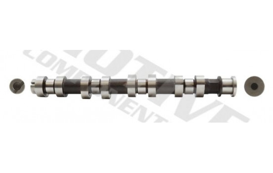 Camshaft
