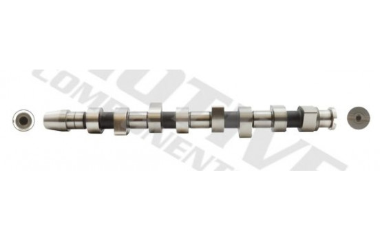 Camshaft
