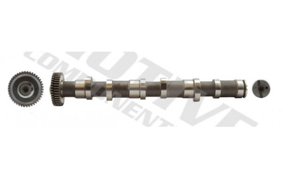 Camshaft