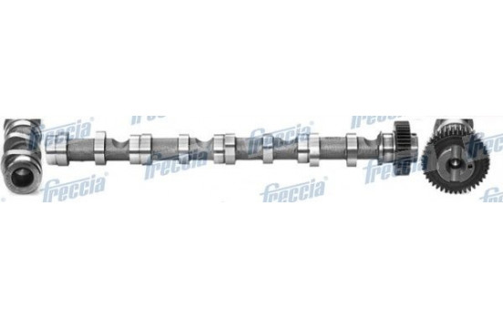 Camshaft