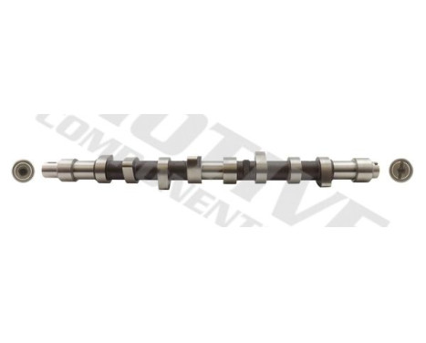 Camshaft