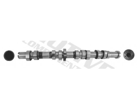 Camshaft, Image 2
