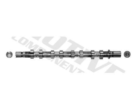Camshaft
