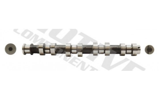 Camshaft