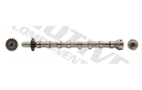 Camshaft