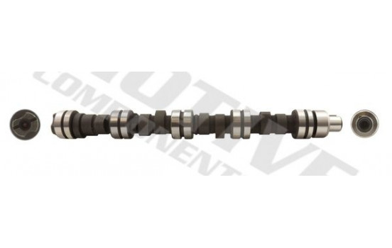 Camshaft