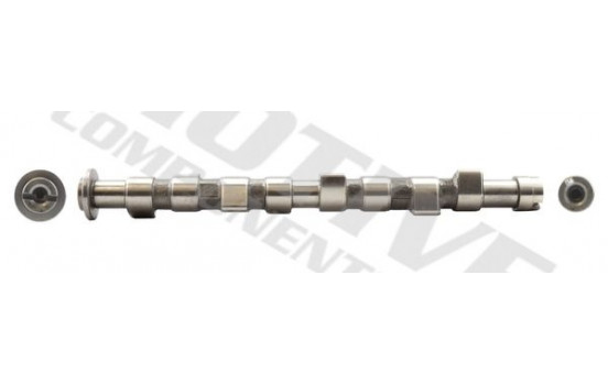 Camshaft