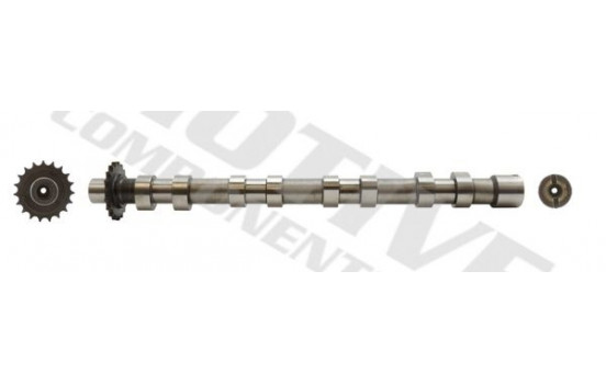 Camshaft