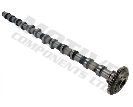 Camshaft