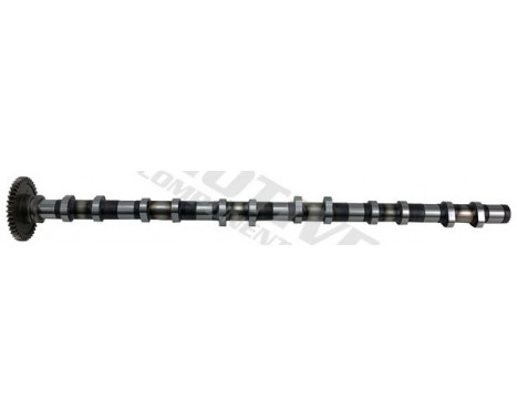 Camshaft, Image 2