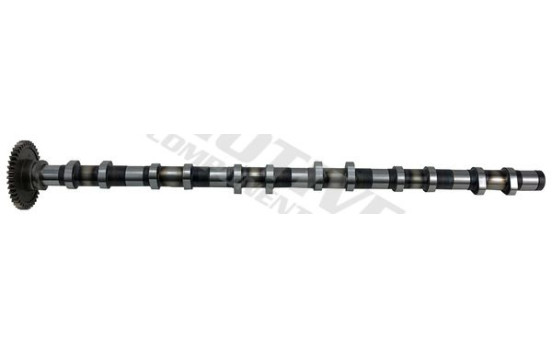 Camshaft, Image 2