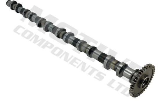 Camshaft