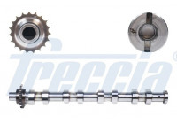 Camshaft
