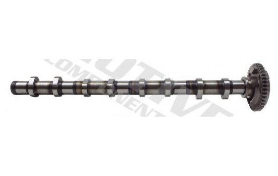 Camshaft