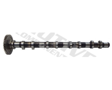 Camshaft