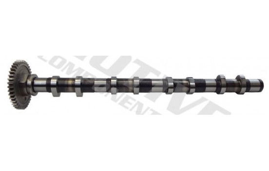 Camshaft