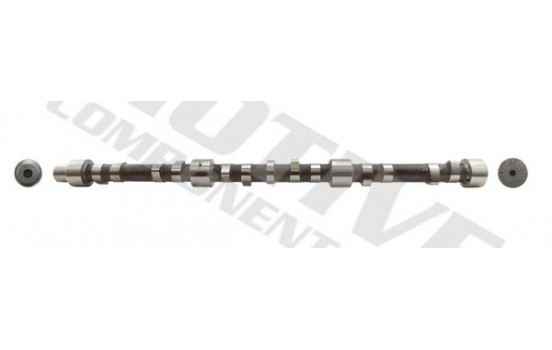 Camshaft