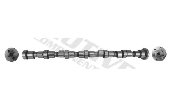 Camshaft