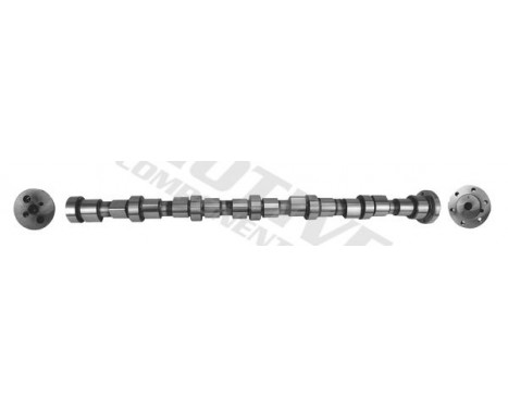 Camshaft, Image 4