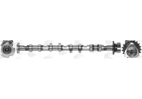 Camshaft