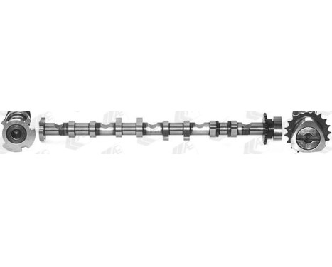 Camshaft
