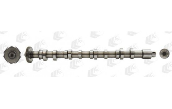 Camshaft