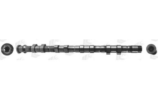 Camshaft