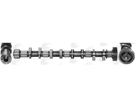 Camshaft