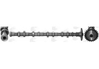 Camshaft