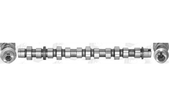 Camshaft