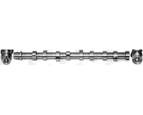 Camshaft