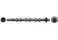 Camshaft
