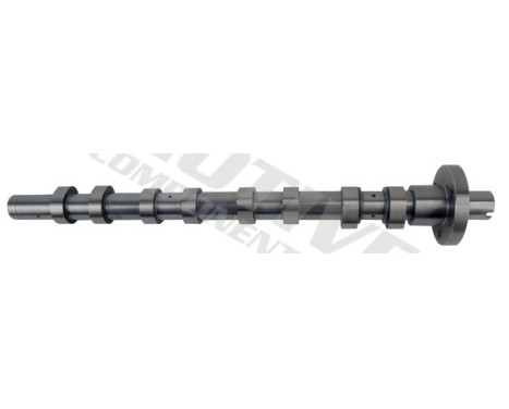 Camshaft, Image 5
