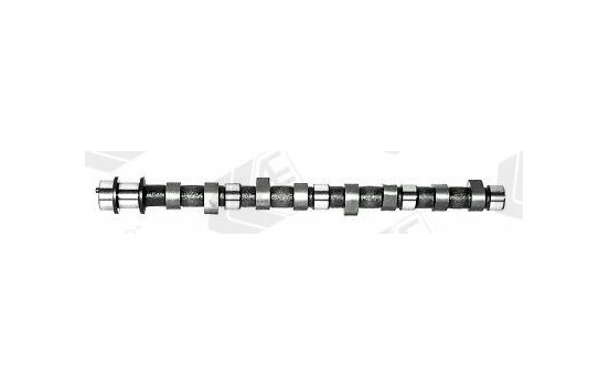 Camshaft