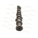 Camshaft, Thumbnail 2